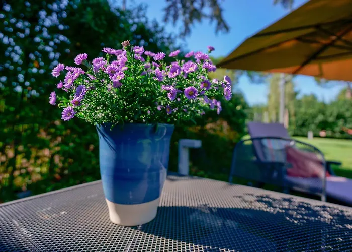 Pixel Nocleg ze śniadaniem